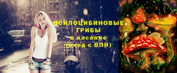 не бодяженный Алексин