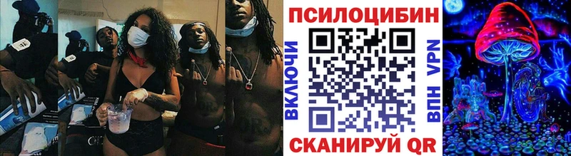 как найти закладки Ессентукская Псилоцибиновые грибы GOLDEN TEACHER