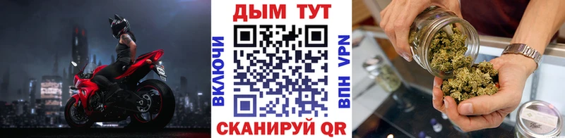 Канабис ГИДРОПОН  где купить   Ессентукская 